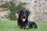 BEAUCERON 996